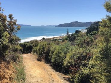 Matarangi Bluff Track