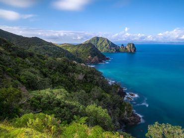 Coromandel Coastal Walkway